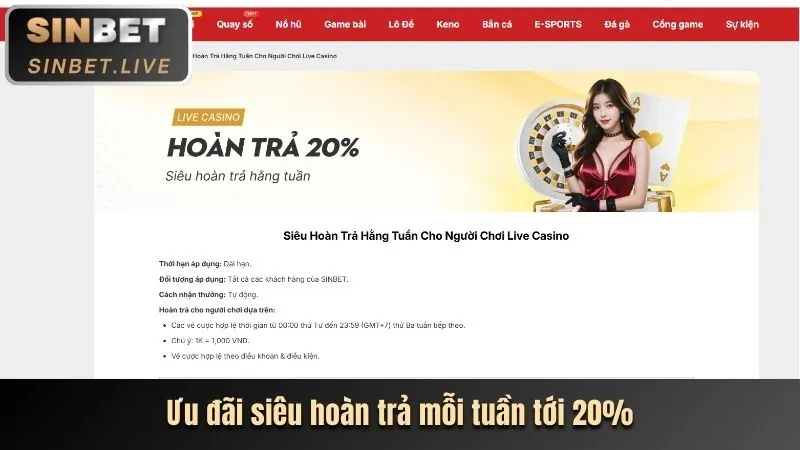 Cá cược thể thao trên SBOBET APK
